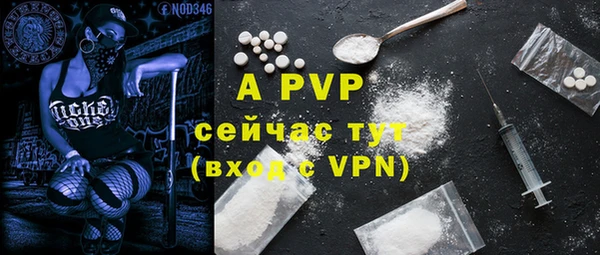 молекула духа Богородск